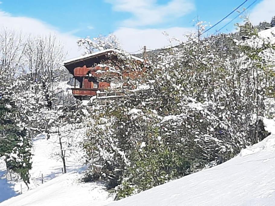 Mountain Chalet Appartement Mayrhofen Buitenkant foto